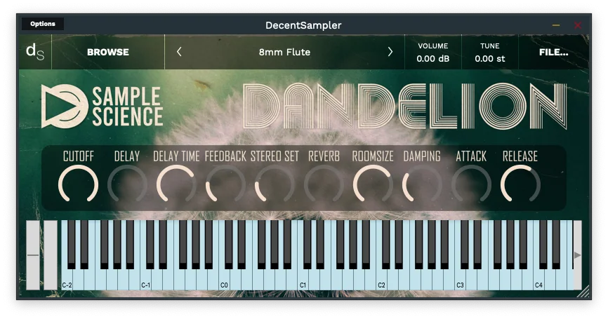Dandelion Ds UI Screenshot